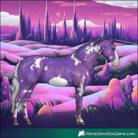 Horse Color:Watercolor White Spotted Silver Black Frame 