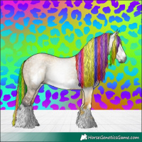 Horse Color:Gray Painted White Spotted Liver Red Dun Ice Frame Rabicano 