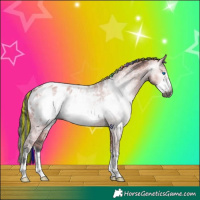 Horse Color:Gray Painted White Spotted Liver Red Dun Ice Frame Appaloosa Rabicano 