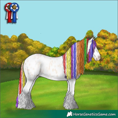 Horse Color:Painted White Spotted Gold Champagne Ice Dun Appaloosa Rabicano 