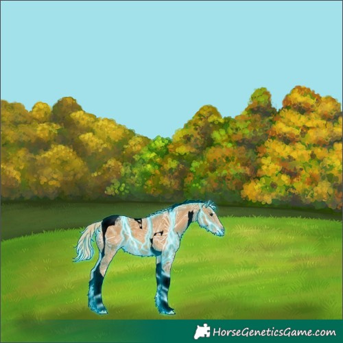 Horse Color:Void Thunderstruck Palomino Ice Tobiano 