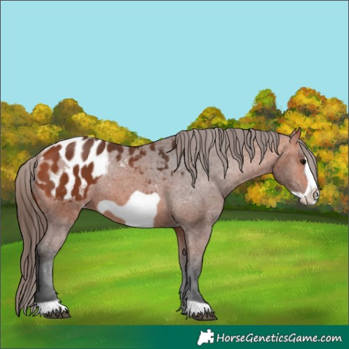 Horse Color:Bay Frame Blanket 