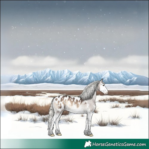 Horse Color:Liver Red Onyx Mushroom Sabino Splash Appaloosa 