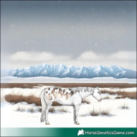 Horse Color:Liver Red Onyx Mushroom Sabino Splash Appaloosa 