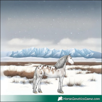 Horse Color:Liver Red Onyx Mushroom Sabino Splash Appaloosa 