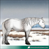 Horse Color:Gray Void Silver Bay Roan Sabino Rabicano 