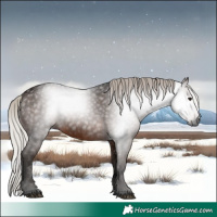 Horse Color:Gray Void Silver Bay Roan Sabino Rabicano 