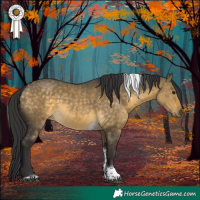 Horse Color:Buckskin Dun Tobiano