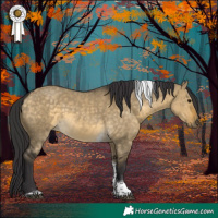 Horse Color:Buckskin Dun Tobiano 