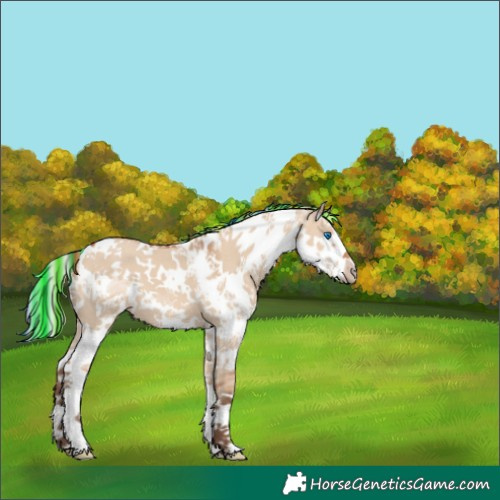 Horse Color:Painted Silver Brown Dun Sabino Splash Tobiano 