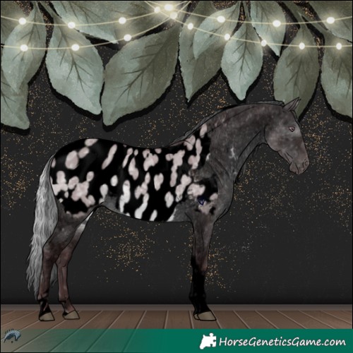 Horse Color:Void Chocolate Silver Grullo Chinchilla Ice Tobiano Blanket