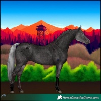 Horse Color:Void Chocolate Silver Grullo Chinchilla Ice Tobiano Varnish 
