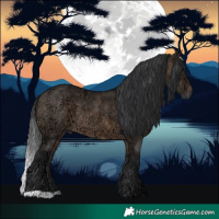 Horse Color:Brown Ice Dun 