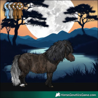 Horse Color:Brown Ice Dun 