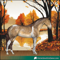 Horse Color:Chocolate Buckskin Dun Tobiano 
