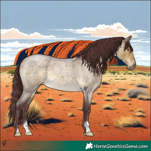 Horse Color:Chocolate Buckskin Roan Dun 