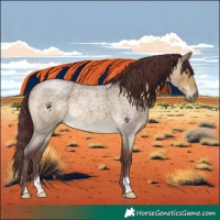 Horse Color:Chocolate Buckskin Roan Dun 