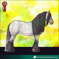 Horse Color:Nacre White Spotted Brown Roan Dun Brindle 