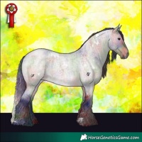 Horse Color:Nacre White Spotted Brown Roan Dun Brindle