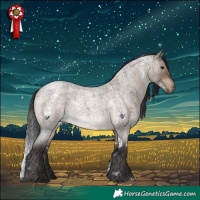 Horse Color:White Spotted Brown Roan Dun Brindle 
