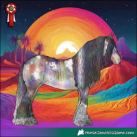 Horse Color:Nacre White Spotted Brown Dun Tobiano Appaloosa Brindle 