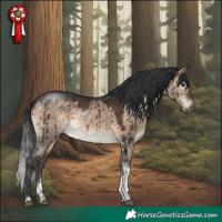Horse Color:Brown Dun Tobiano Brindle 