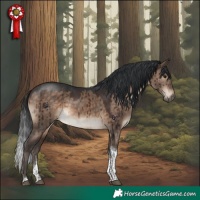Horse Color:Brown Dun Tobiano Brindle