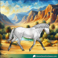 Horse Color:Gray Buckskin Roan Rabicano 