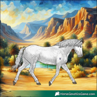 Horse Color:Gray Buckskin Roan Rabicano 