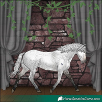 Horse Color:Gray Brown Roan Rabicano  and Gray Void Buckskin Roan Rabicano 