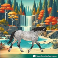 Horse Color:Buckskin Roan Tobiano