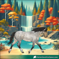 Horse Color:Buckskin Roan Tobiano 