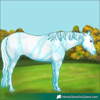 Horse Color:Thunderstruck Gold Champagne Chinchilla Mushroom Tobiano Varnish