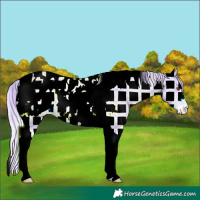 Horse Color:Plaid  Liver Chestnut Chinchilla Tobiano Blanket 