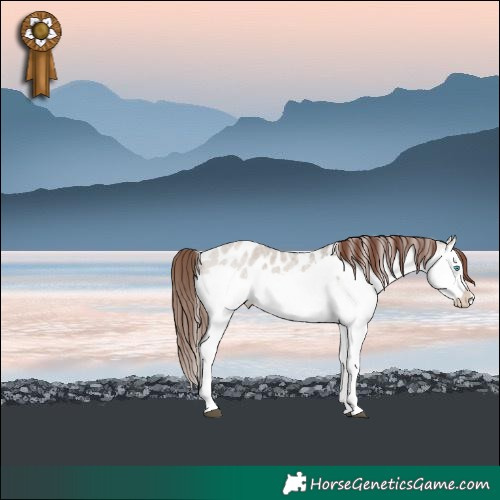 Horse Color:Brown Roan Dun Sabino Splash Near Leopard 