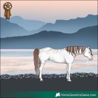 Horse Color:Brown Roan Dun Sabino Splash Near Leopard 