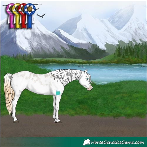 Horse Color:Buckskin Roan Dun Sabino Splash Frame Blanket