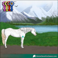 Horse Color:Buckskin Roan Dun Sabino Splash Frame Appaloosa 