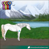 Horse Color:Buckskin Roan Dun Sabino Splash Frame Appaloosa 