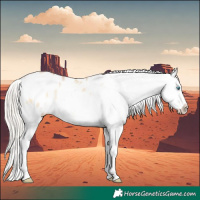 Horse Color:Gold Cream Champagne Pearl Onyx Blanket and Cremello Dun Varnish