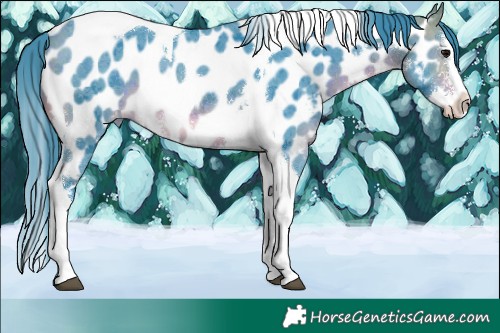 Horse Color:Watercolor Brown Mushroom Sabino Splash Tobiano Appaloosa 