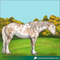 Horse Color:White Spotted Chocolate Palomino Pearl 