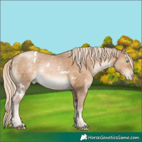 Horse Color:White Spotted Chocolate Palomino Pearl 