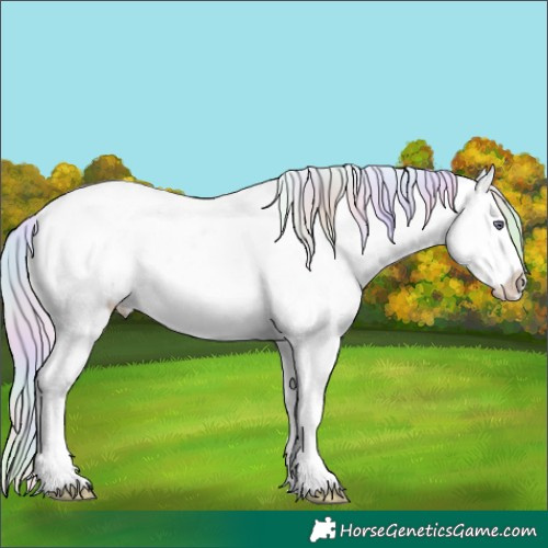 Horse Color:Nacre White Spotted Gold Champagne Chinchilla Snowdrop Pearl Onyx Sabino Appaloosa Rabicano 