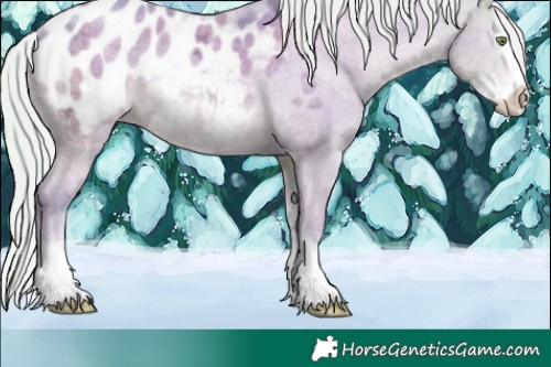 Horse Color:Watercolor Silver Sable Cream Champagne Ice Sabino Splash Appaloosa 