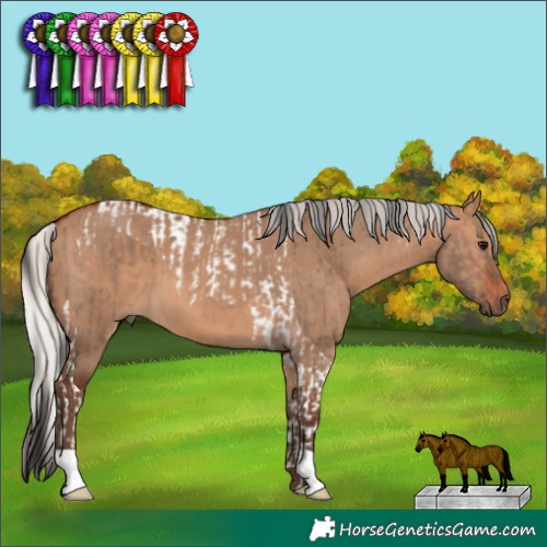 Horse Color:Brown Dun Tobiano  and Silver Bay Dun 