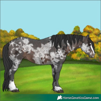 Horse Color:Brown Ice Sabino 