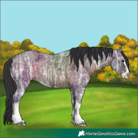 Horse Color:Brown Ice Sabino