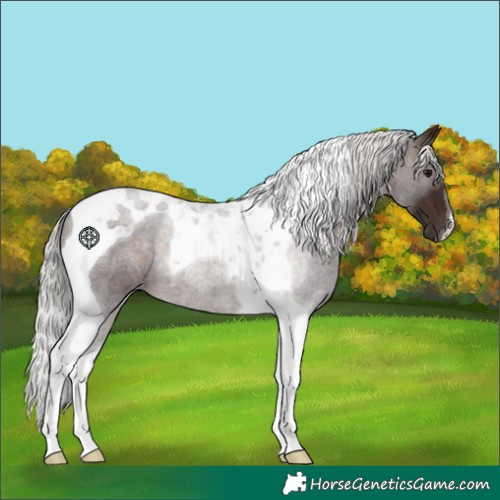Horse Color:Silver Brown Tobiano 