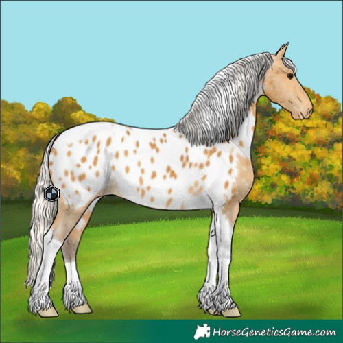 Horse Color:Silver Buckskin Tobiano Near Leopard 